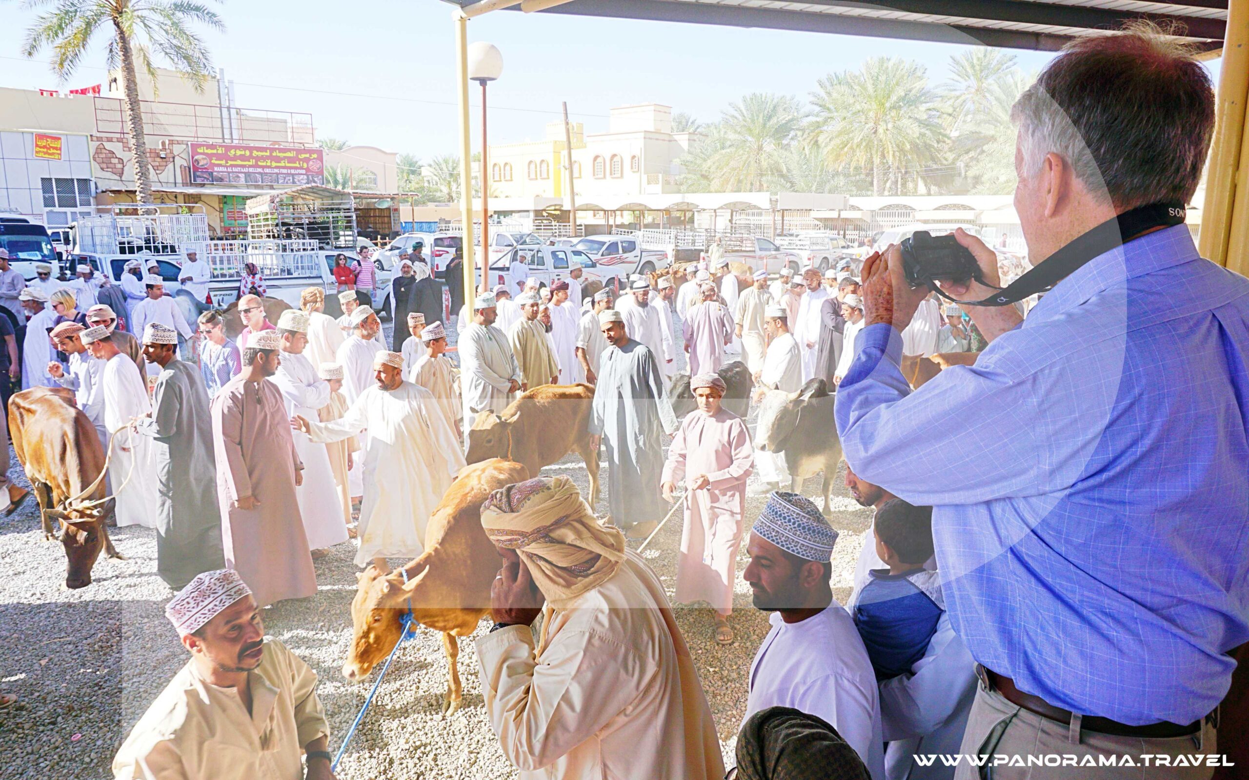 NIZWA & JABAL AL AKHDAR TOUR